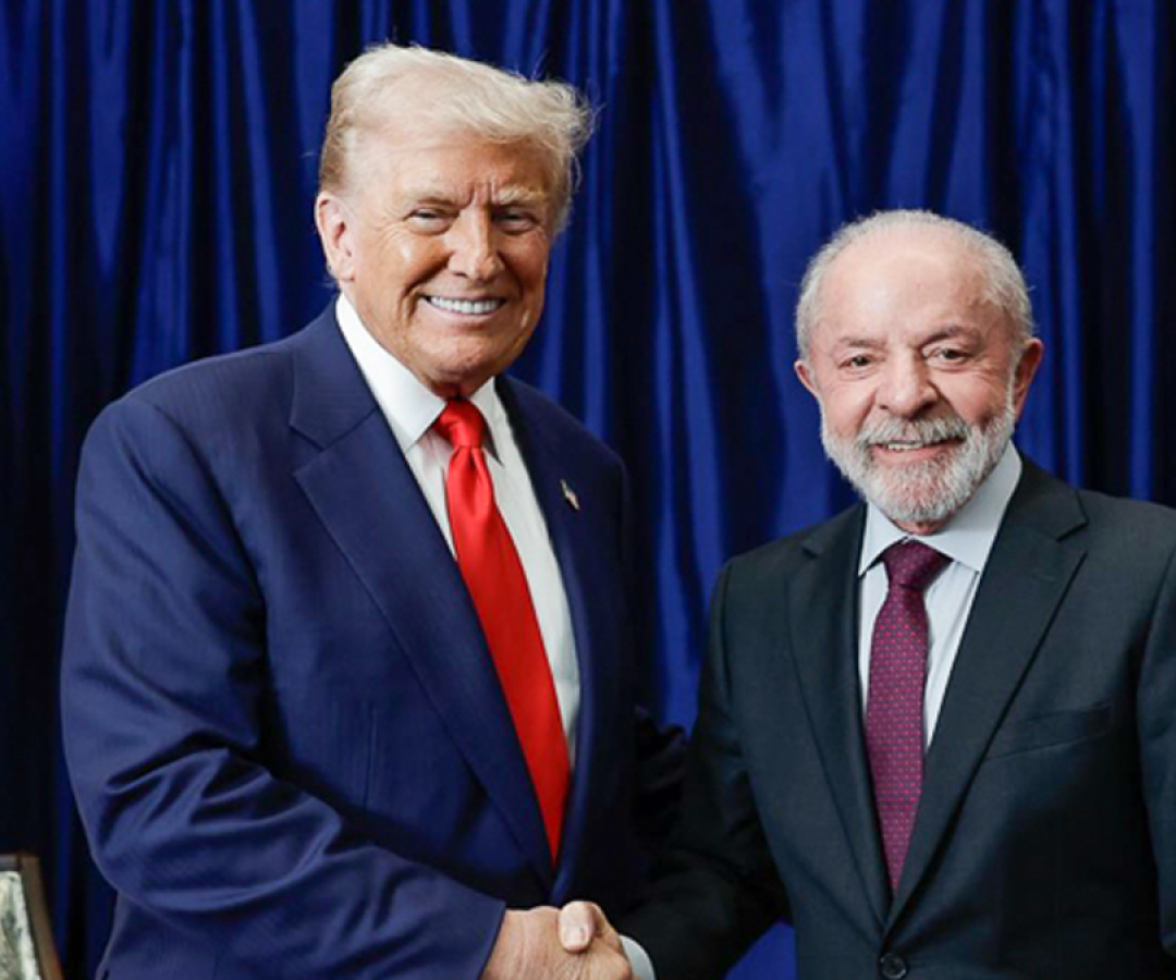 Sem Título-1
